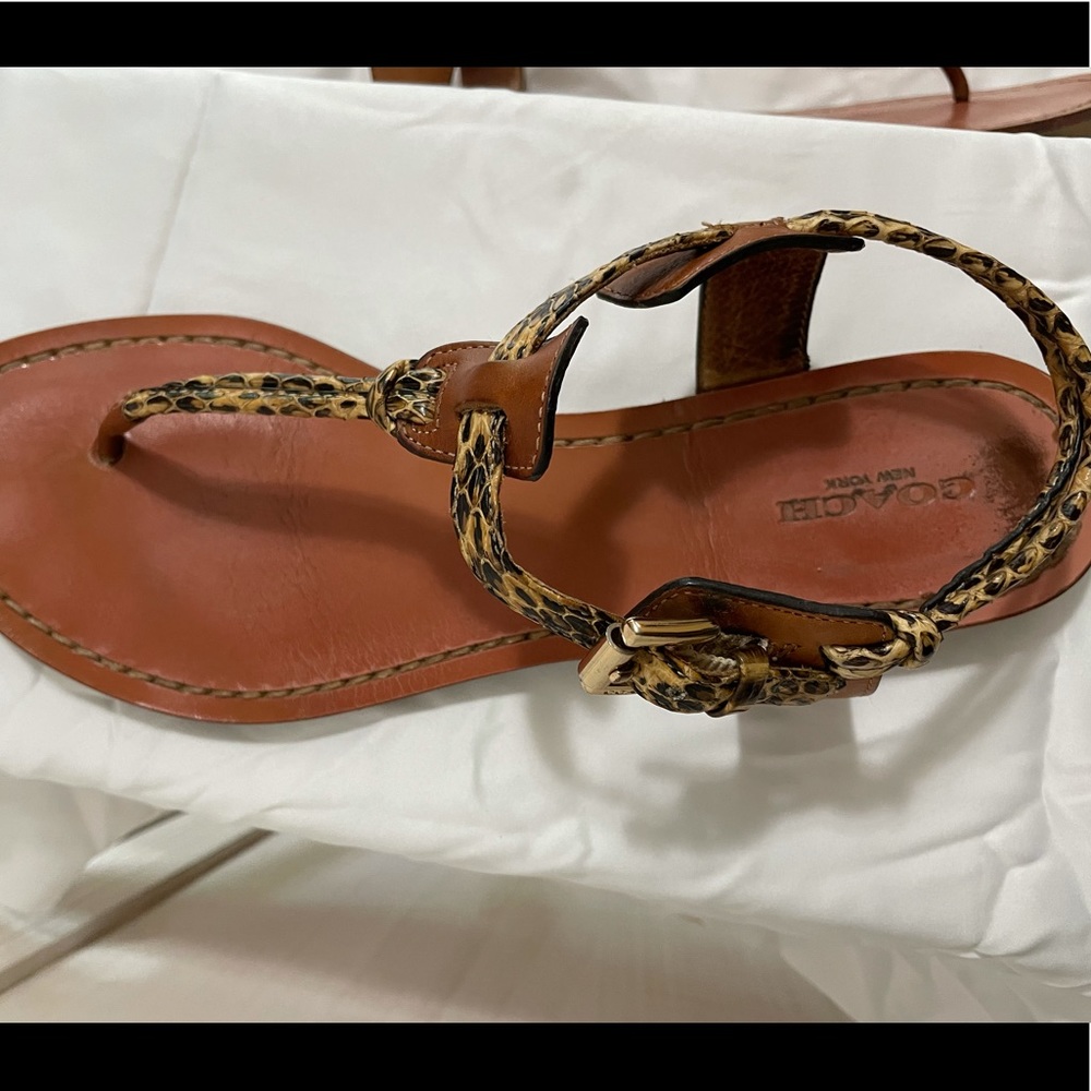 Coach Clarkson Python Flat Sandals - image 5